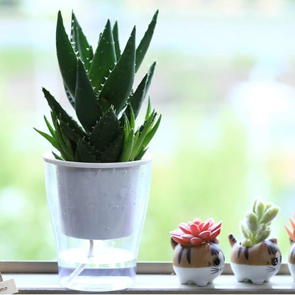 8-Pack 5.1 Inches Clear Self-Watering Planters Medium African Violet Pots Plastic Wick Flower Plant Pots for Indoor Plants, Spider Plant, Orchid Pot, Clear and White