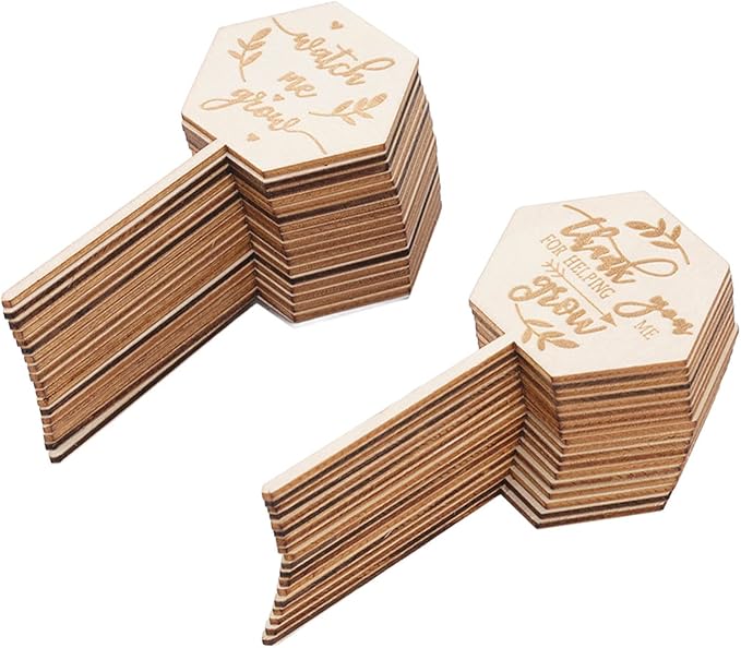 Watch Me Grow Succulent Tags, Wooden Plants Labels Thank You for Helping Me Grow Garden Marker Hexagon Planter Sign Decorations Gift for Greenhouse Potted Vegetable Seedling Baby Shower 36Pcs