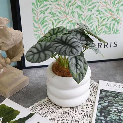 Ceramic Plant Pot Indoor, 4.5 Inch Flower Pot with Drainage Hole, Small Bubble Design Ceramic Planter for Home & Office Decor (White)