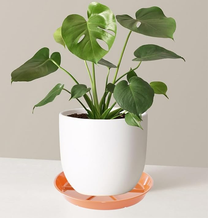 Plant Saucer Pot Tray 12 inch, 2 Packs Flower Planter Saucers and Drip Trays for Pots Planter, Heavy Duty Plant Dish Pant Plate to Catch Water for Indoor & Outdoor, Terracotta