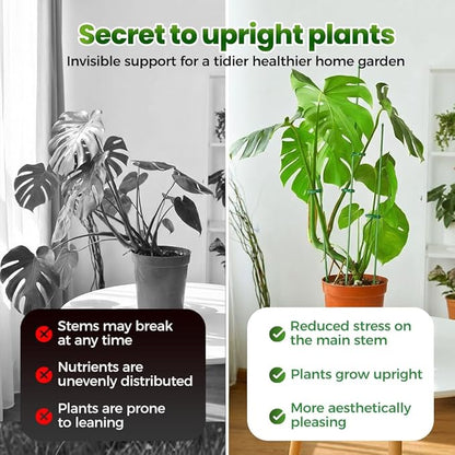 Extendable Plant Stakes, 17 Inch Plant Support Stakes with Clips, Sturdy Plant Stakes for Indoor Outdoor,Garden Sticks for Tomato,Orchid,Climbing Plants (30cm, 5Pcs)