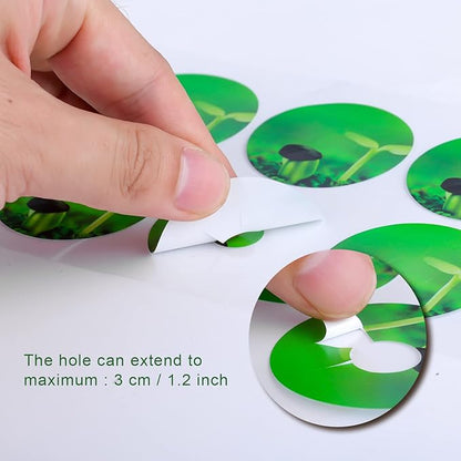 120pcs Plant Grow Stickers, Grow Baskets Labels Hydroponic Plant Label for Seedlings Garden Pods Plant Labels for Labeling Plants and Understanding Plant Growth