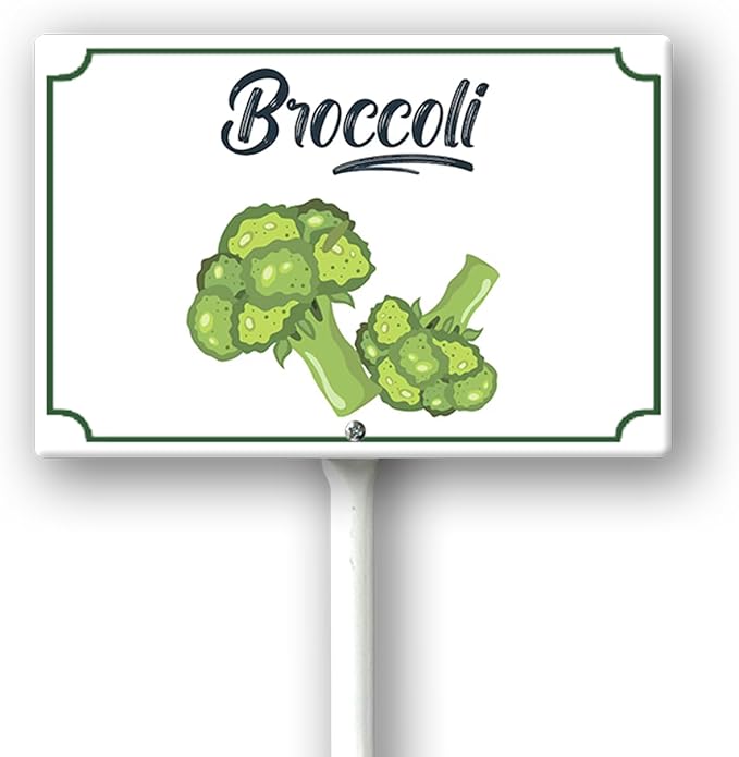 Boylee Aluminum 8x12inch Broccoli Garden Signs with Stake for Vegetables, Herbs, Flowers & Potted Plants