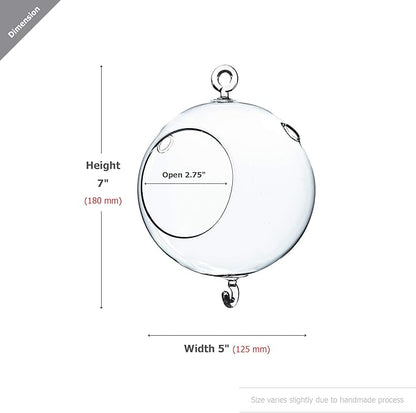 WGV Hanging Terrarium Globe, Width 5", Height 7", Double Hook, DIY Air Succulent Planter, Clear Glass Vase Orb, Candle Holder for Windowsill Outdoor Garden Decor, 6 Pieces Bulk