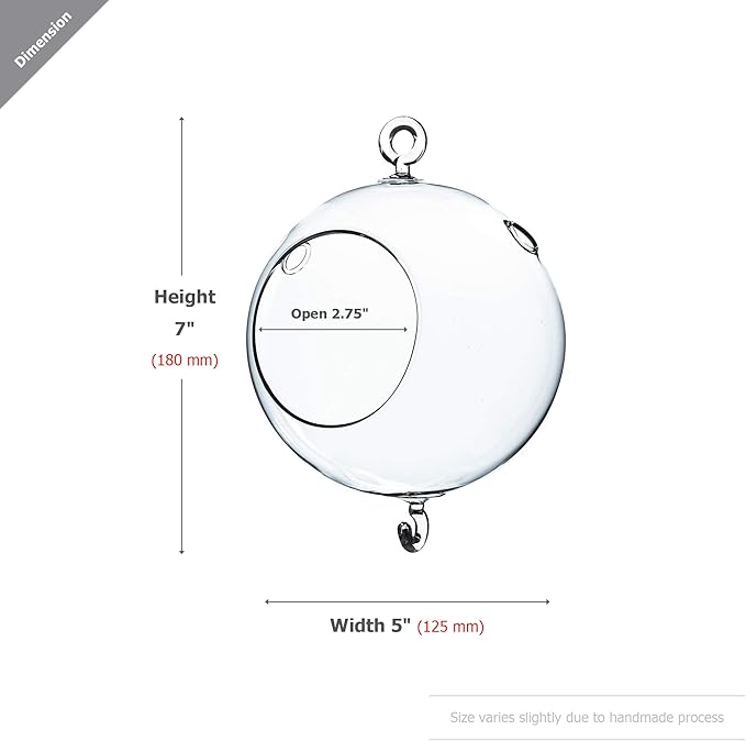WGV Hanging Terrarium Globe, Width 5", Height 7", Double Hook, DIY Air Succulent Planter, Clear Glass Vase Orb, Candle Holder for Windowsill Outdoor Garden Decor, 1 Piece
