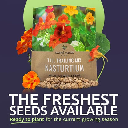 Nasturtium Seeds – Mixed Colors – Extra Large Packet – Over 200 Open Pollinated Non-GMO Flower Seeds – Tropaeolum majus