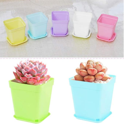 24Pack 3 Inch Plastic Plant Pots,Square Seedling Nursery Pots Succulent Flower Planter Container with Saucers for Garden,Room,Office,Balcony Decor,Multicolor