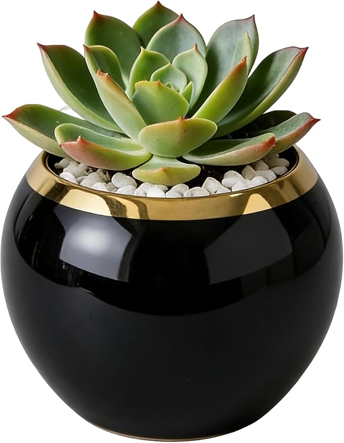 Black Gold Spherical Ceramic Plant Pots Succulent Small Planter Indoor Modern Decorative Indoor-Outdoor Garden Plant Pots with Drainage Holes - Plants Not Included 3.94 x 3.94 x 3.15 Inch