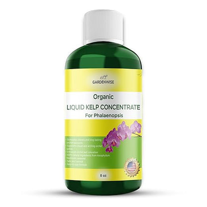 Organic Premium Kelp Seaweed Concentrate: Fertilizer for Phalaenopsis Orchids – Liquid Plant Fertilizer – Orchid Bloom Booster – Seaweed Extract for Plants (8 OZ)