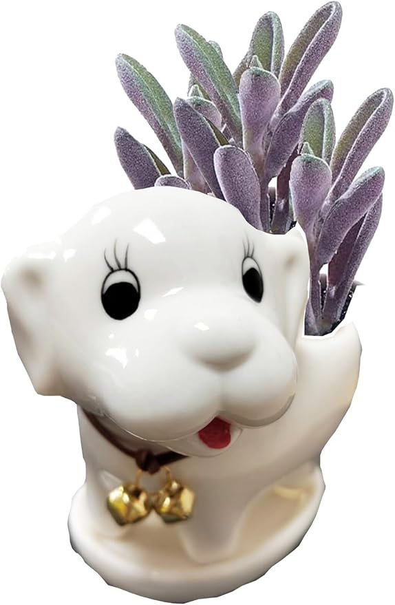 Ceramic Succulent Plant Pot Cactus Plant Pot Flower Pot Container Planter with Drainage Hole Home Office Desk Garden Gift Idea Animal Shaped Flower Pot Cute Vase Pot (White Dog)