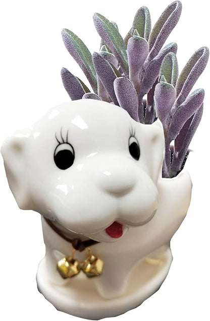 Ceramic Succulent Plant Pot Cactus Plant Pot Flower Pot Container Planter with Drainage Hole Home Office Desk Garden Gift Idea Animal Shaped Flower Pot Cute Vase Pot (White Dog)