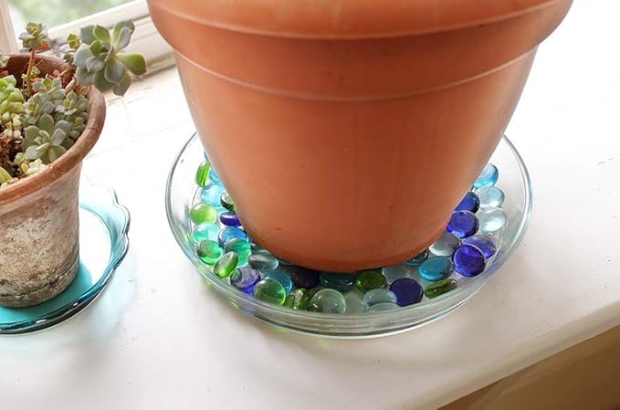 Achla Designs 8 3/4-in Glass Plate, Plant Tray Terrarium Saucer