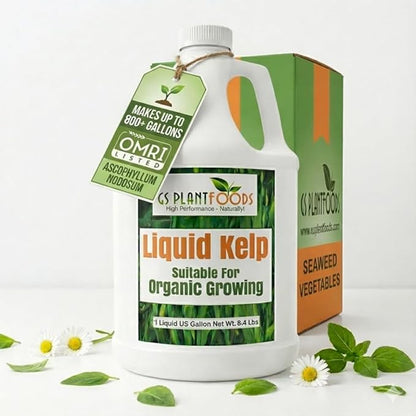 GS Plant Foods Liquid Kelp Fertilizer – Suitable for Organic Growing, OMRI Listed Seaweed Concentrate for Lawns, Gardens & Soil - 1 Gallon (Makes Up To 800+ Gallons)