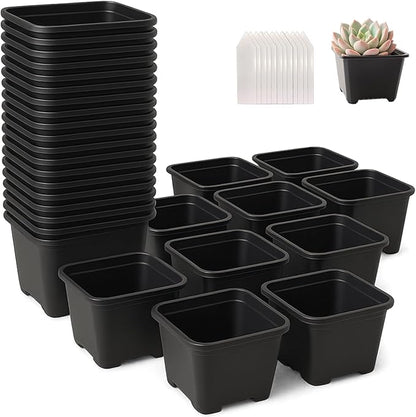 50 Packs Square Nursery Pots for Plants 6.1 Inch Succulent Plant Pots Set Plastic Seedling Starting Pots with Drainage Holes Nursery Pots Variety Pack Flower pots Planter Seed Starter, Black