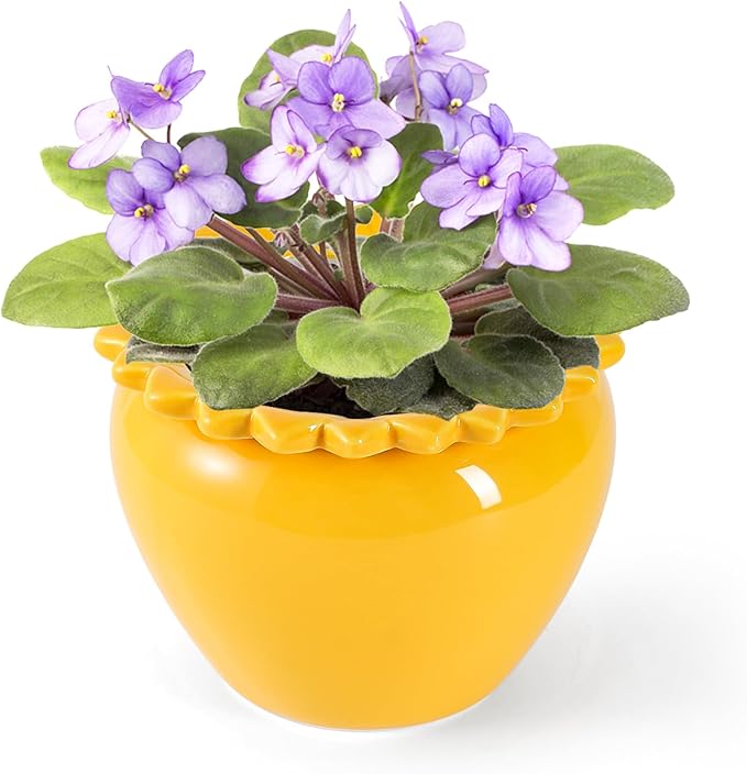Yellow Lotus Flower Ceramic Self Watering Planter Pot, 5.3 x 4.58 x 4.7 inches, Absorbent, Indoor Outdoor, 2-Piece, Planter Type, 1.25 lbs