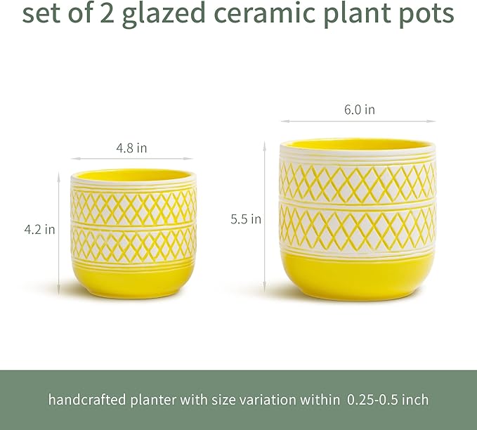 Decorative Ceramic Flower Pots Set of 2 – 6 & 4.7 Inch Indoor Plant Pots, Boho Decorative Pots for Plants, Orchid & Succulent Planters with Drainage