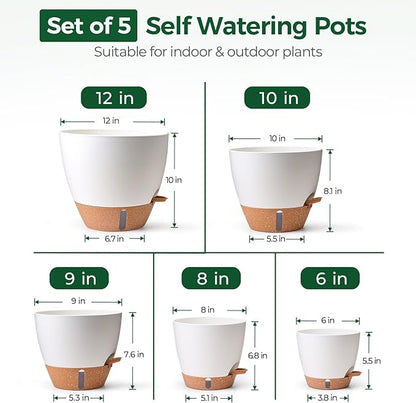 T4U 5 Pack Self Watering Pots (6"+8"+9"+10"+12") - Water Level Indicator & Deep Reservoir, Mess-Free Planters for Busy People, Beginners & Gardeners, Fit Most Plants, Indoor Outdoor Use (White)