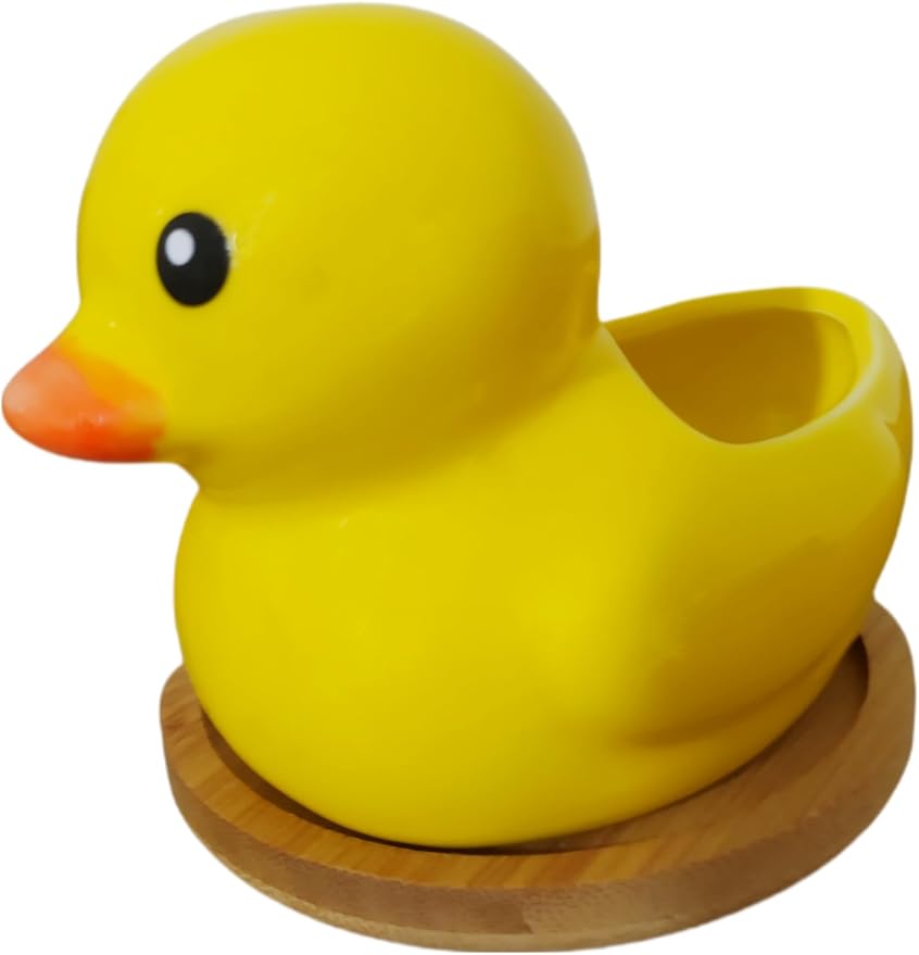 Cute Indoor Cartoon Animal Duck Shaped Ceramic Succulent Cactus Flower Plant Pots Planter with Drainage Hole - Plant Not Included (Small)