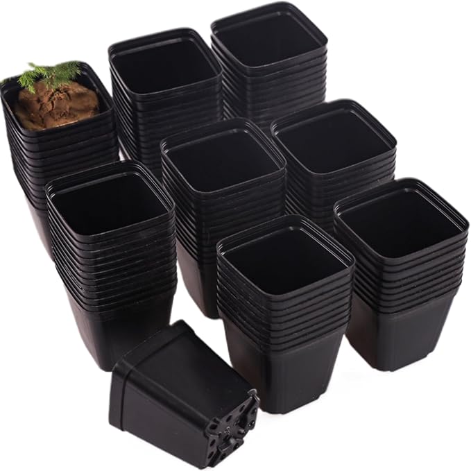 200 Packs Square Nursery Pots for Plants 2.2 Inch Succulent Plant Pots Set Plastic Seedling Starting Pots with Drainage Holes Nursery Pots Variety Pack Flower pots Planter Seed Starter, Black