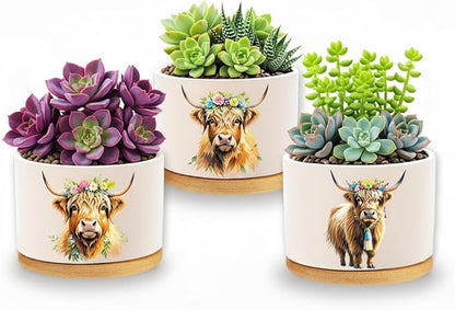Highland Cow Planters for Indoor Plants – 1350°C Kiln-Fired Fine Ceramic Succulent Planter Set of 3, Cute Animal Pots for Room, Bathroom, Yoga, Meditation Decor (No Plant Included)