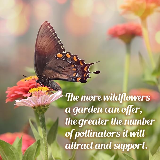 Monarch Butterfly Rescue Wildflower Seed Packet - 1oz, Open-Pollinated Wildflower, No Fillers, Annuals, Perennials and Milkweed Seeds for Monarch Butterfly 1oz