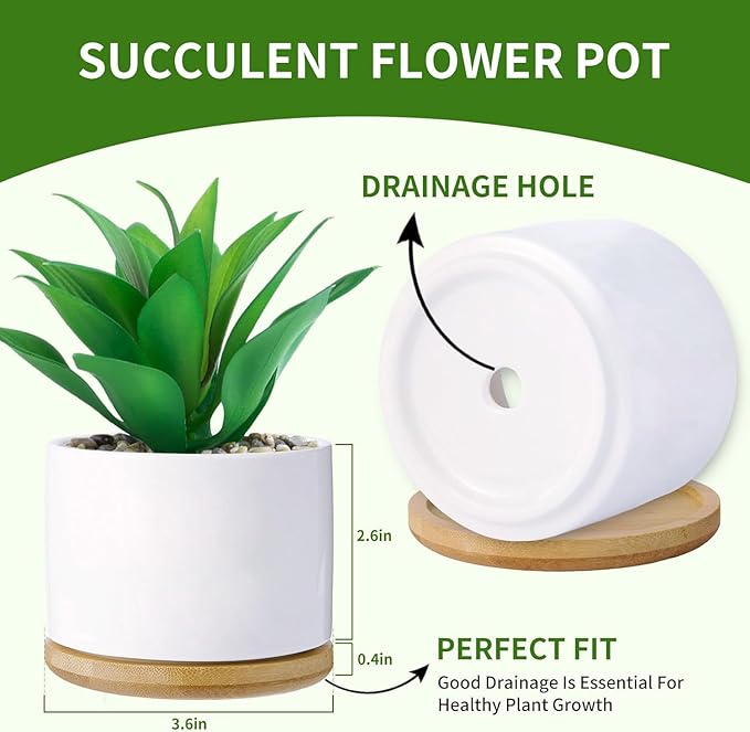 Funny planters for Indoor Plants Garden Succulent Pots, with Drainage Holes and Saucer(No Plants) (Feeling Cute Might Die Later)