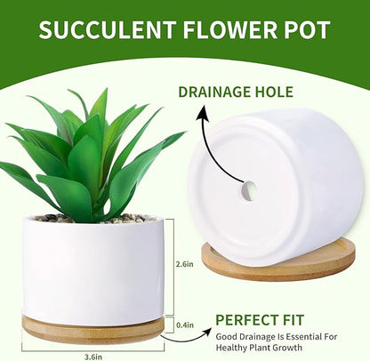 Funny planters for Indoor Plants Garden Succulent Pots, with Drainage Holes and Saucer(No Plants) (Feeling Cute Might Die Later)