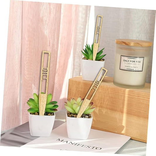 12Pcs Wooden Plant Labels Reusable Decorative Garden Tags for Potted Plants Gardening Labels for Garden Decorations Markers
