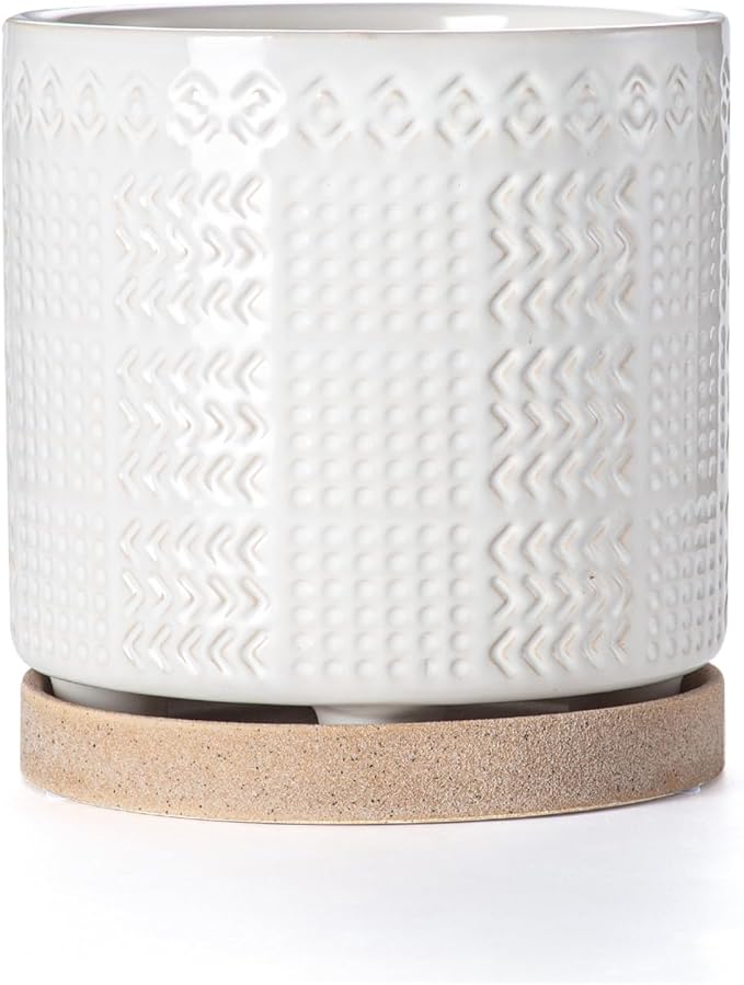Indoor-Outdoor Ceramic Plant Pots: 6 Inch Flower Pots with Drainage Hole & Saucer - Decorative Ceramic Pots for Plants Herbs Succulents - Home Garden Patio Lawn Use