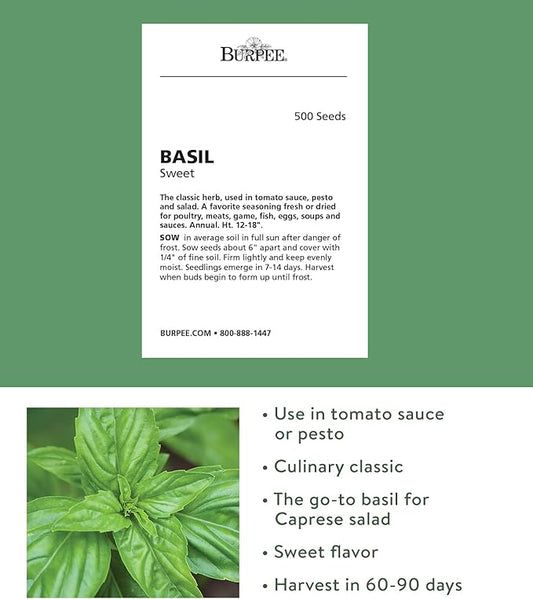 Burpee Sweet Basil Herb Seeds | 500 Non-GMO Basil Seeds for Planting | Grow Fresh Basil Herb in Home Garden | Classic Basil Variety for Italian Cooking