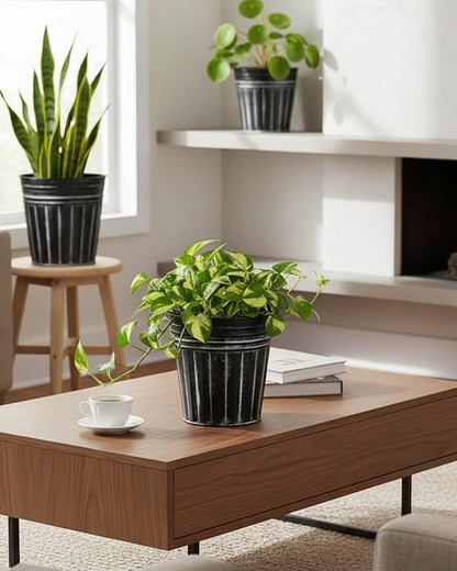 vensovo 6 Inch Black Metal Rustic Flower Pots - 6Pcs Galvanized Planters with Drainage Hole and Rubber Plug, Rustproof Metal Bucket Plant Pots Farmhouse Vintage Style for Decor