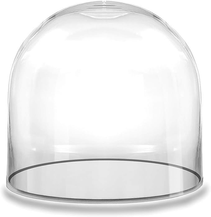 CYS EXCEL Glass Dome Cloche (H:5.75" D:5.75") | Multiple Sizes Decorative Showcase Display for Antique Collectibles | Bell Jar Terrarium & Dessert Cover