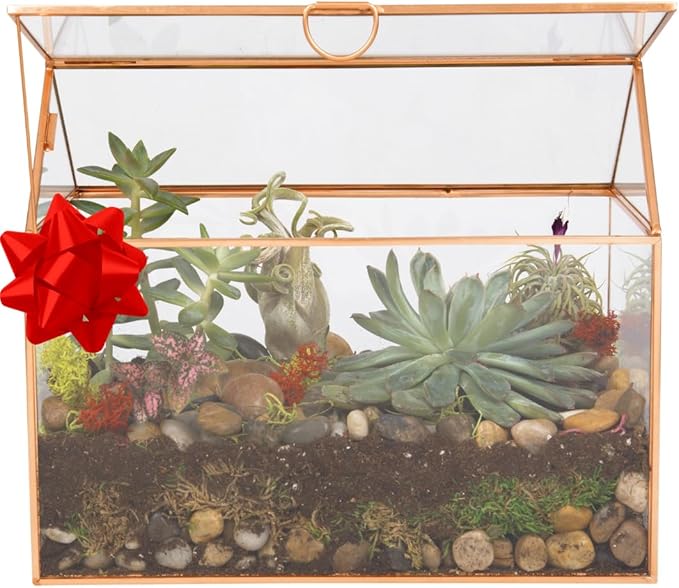 D'Eco Glass House Centerpiece (10x6x8)- Tabletop Planter Terrarium - Valentine's Day Home Decor & Wedding Letterbox - Fill with Succulents, Moss, Roses & Chocolates - Valentines Gift for Plant Lovers