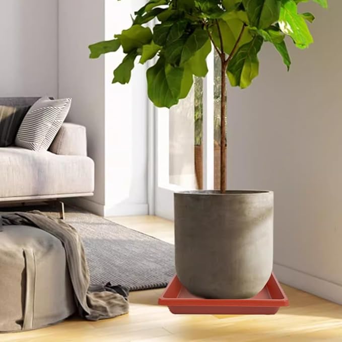 Square Plant Saucer 10 Inch 2 Pack, Plant Drip Trays and Flower Pot Saucers，Doubles Plant Water Catcher Tray, Plant Trays for Indoors No Holes, Plant Drainage Tray Saucers for Potted Plants