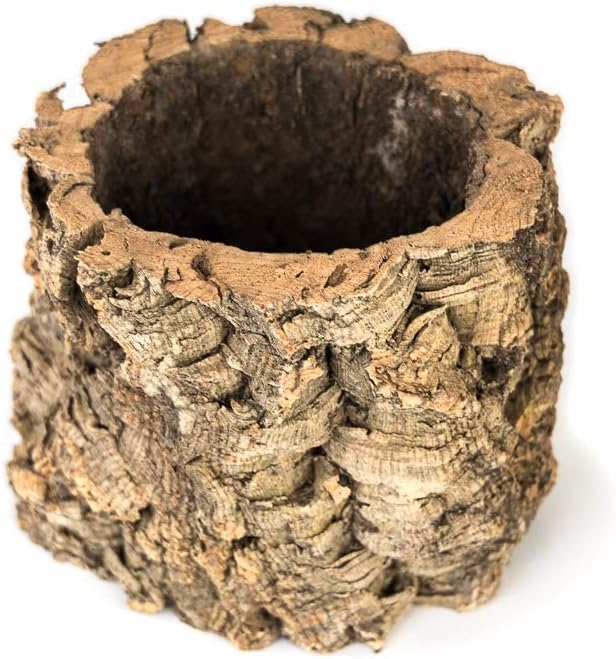 Josh's Frogs Virgin Cork Planters (6 inch Tall)