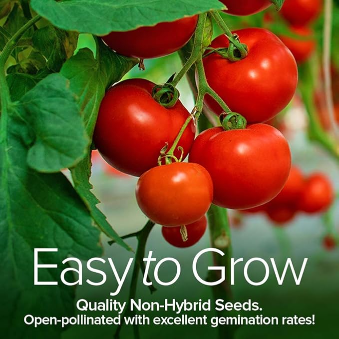 Gardeners Basics, Heirloom Tomatoes for Planting 8 Variety Pack, San Marzano, Roma VF, Large Cherry, Ace 55 VF, Yellow Pear, Tomatillo, Brandywine Pink, Golden Jubilee Tomato Seeds for Garden Non GMO