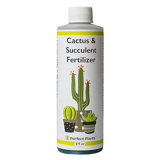 Perfect Plants Liquid Cactus & Succulent Fertilizer 8oz. | Food for Live Succulents, Cacti, Aloe & More | Indoor and Outdoor Use with Every Watering