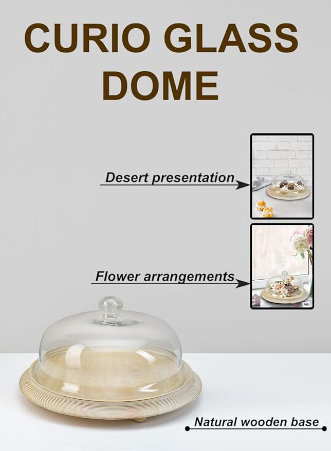 Serene Spaces Living Curio Glass Dome with Natural Wooden Base, Airplants, Flower Blooms, Accessories, Photos, Candles, Dessert Display, Home, Office Decor, Gift Idea - 12" Diameter & 6" Tall