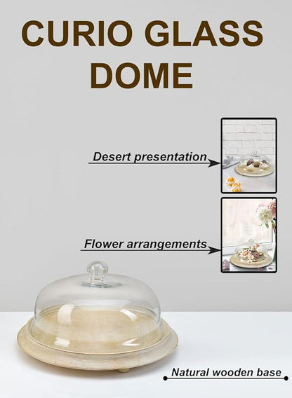 Serene Spaces Living Curio Glass Dome with Natural Wooden Base, Airplants, Flower Blooms, Accessories, Photos, Candles, Dessert Display, Home, Office Decor, Gift Idea - 12" Diameter & 6" Tall