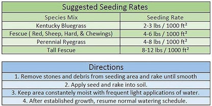 Jacklin Seed by Barenbrug - Heisman Mix | 85% Kentucky Bluegrass, 15% Perennial Ryegrass | Certified Grass Seed (5 lbs (2,000 sq ft))