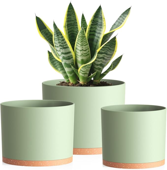 Large Plant Pots Set of 3 – 8", 9", 10" Indoor Flower Pots with Drainage Holes and Saucers, Big Planters for Monstera, Fiddle Leaf Fig, Snake Plant – 5 Colors