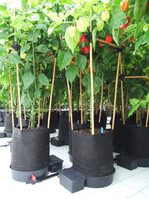 Happy Hydro AutoPot XL Fabric Pot Systems, 1-100 Pots (5gal, 2 Pot with Reservoir)