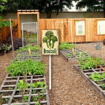 Uptell Vintage Vegetable Signs for Garden with Stake Broccoli Yard Sign Vegetable Garden Label Stakes Plant Markers for Outdoor Plants Waterproof 8.8x7inch