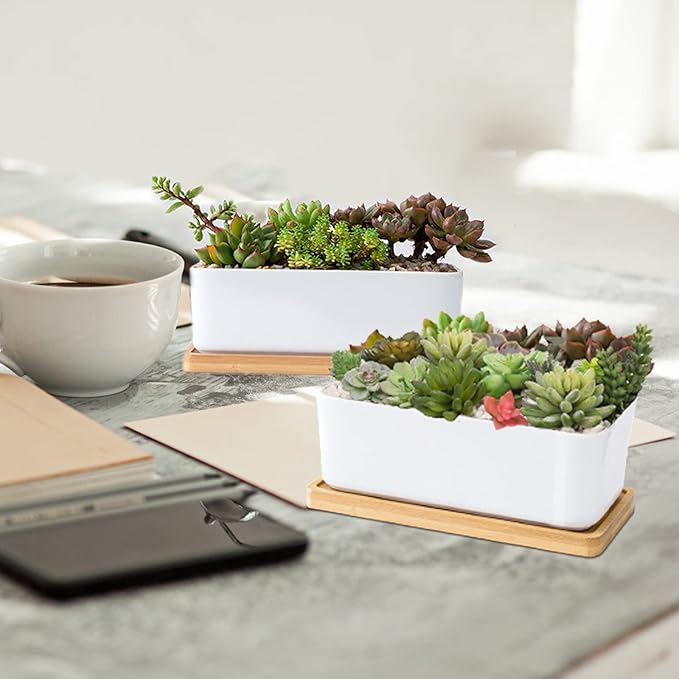 White Ceramic Succulent Planters, Indoor and Outdoor Succulent Planters, Set of 2 Small Cactus Containers, Bonsai Pots, Flower Pots with Drainage Hole and Bamboo Bowl (No Plant)