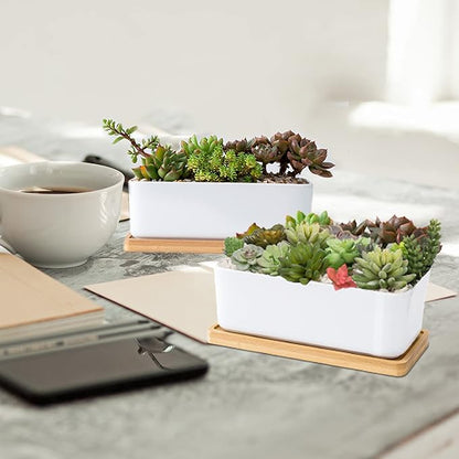 White Ceramic Succulent Planters, Indoor and Outdoor Succulent Planters, Set of 2 Small Cactus Containers, Bonsai Pots, Flower Pots with Drainage Hole and Bamboo Bowl (No Plant)
