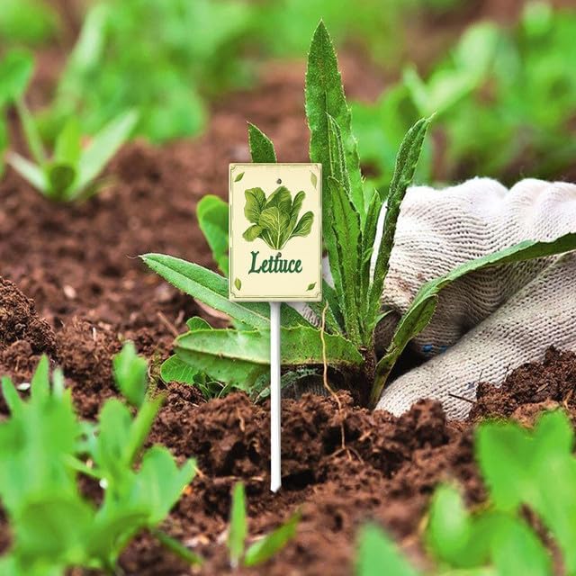 Uptell Vintage Vegetable Signs for Garden with Stake Lettuce Yard Sign Vegetable Garden Label Stakes Plant Markers for Outdoor Plants Waterproof 8.8x7inch