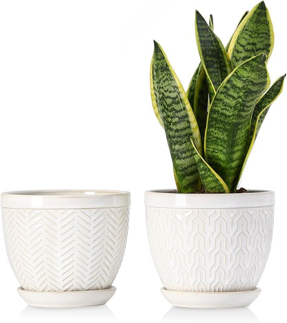 Sureasy 6.5 Inch Ceramic Plant Pots, Embossed Decorative Planters with Drainage Hole and Saucer, Modern Flower Pots for Indoor Plants, Set of 2, Glazed White