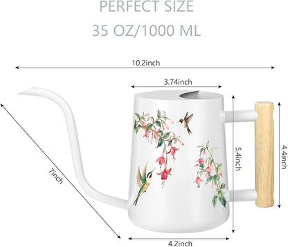 Watering Can Indoor Plants, 35oz Small Stainless Steel Metal Watering Can Modern Decorative Watering Pot with Long Spout for Indoor House Plant Bonsai Garden Flowers (White 1)