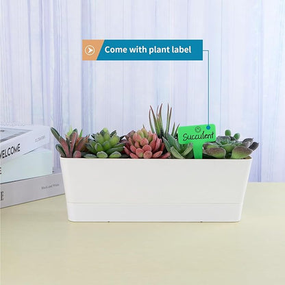 Window Box Planter with Tray, 12" Rectangle Plant Pot, Pack of 3 (White)