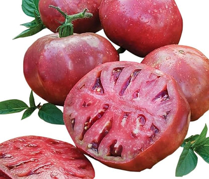 Cherokee Purple Heirloom Tomato Seeds - Large Tomato - One of The Most Delicious Tomatos for Home Growing